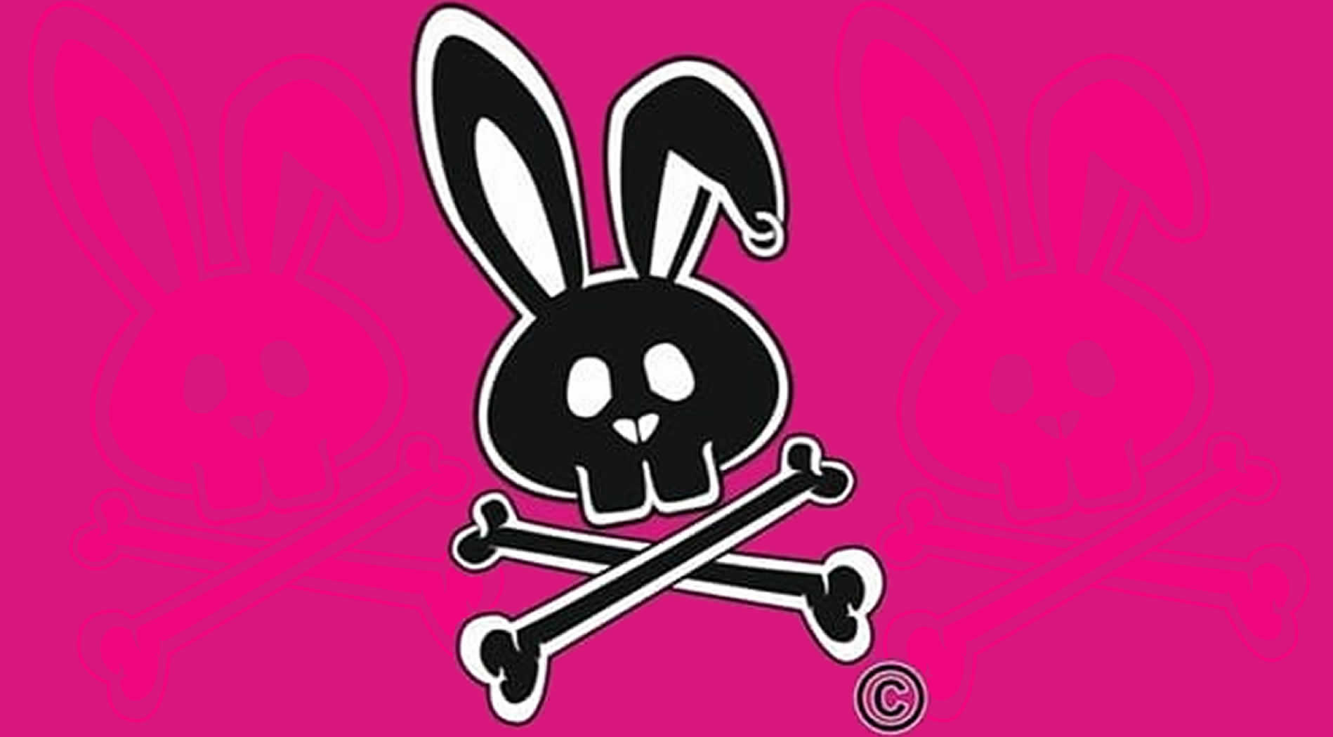 Pink, passionate and a professional pioneer in the MotoSurfing World! MEET OCEAN RABBIT!